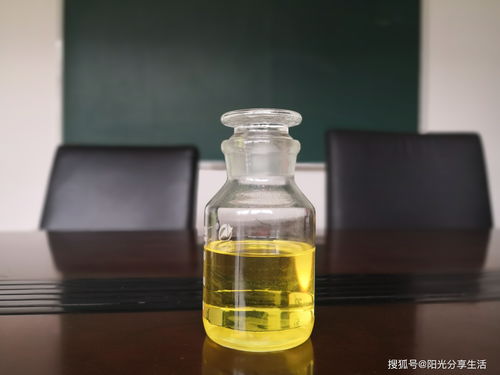 無醇植物油燃料技術(shù)配方,植物油燃料的缺陷