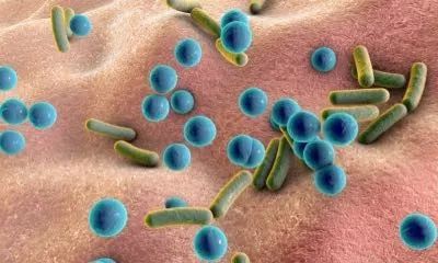 了解皮膚微生物群的重要性,以及5個保護微生物群的方法